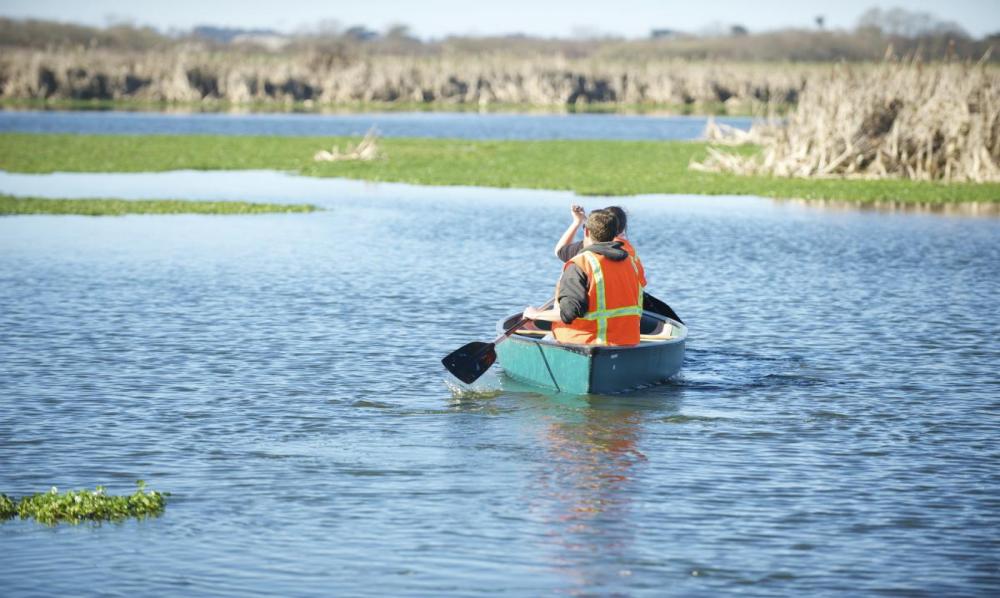 Students Canoeing in the Arcata Marsh and Wildlife Sanctuary